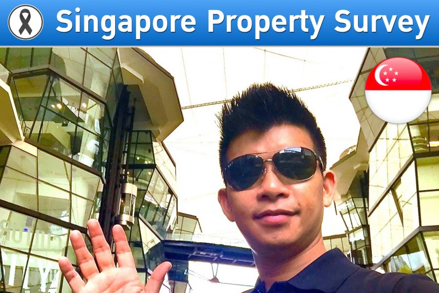 Singapore Property Survey